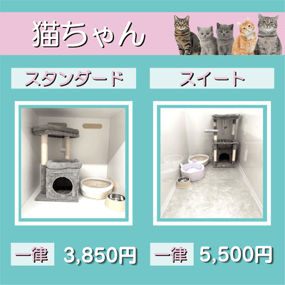 ペットホテル 猫ちゃん スタンダード 一律￥3,850 スイート 一律￥5,500