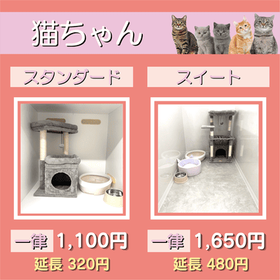 ペットホテル 猫ちゃん スタンダード 一律￥1,100  延長￥320 スイート 一律￥1,650  延長￥480