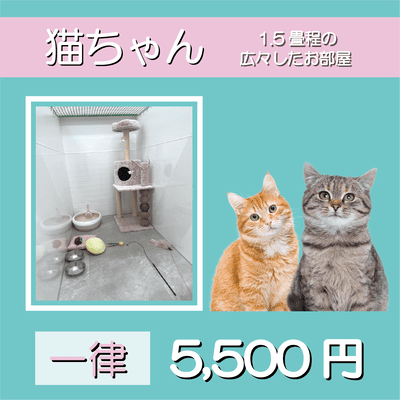 ペットホテル 猫ちゃん 1.5畳程の広々したお部屋 スイート 一律￥5,500