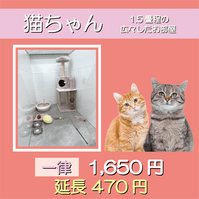 ペットホテル 猫ちゃん 1.5畳程の広々したお部屋 スイート 一律￥1,650  延長￥470