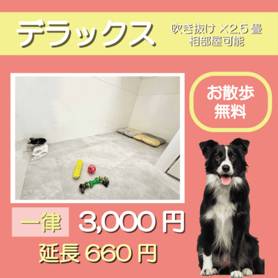 ペットホテル デラックス 吹き抜け2.5畳程 相部屋可能 お散歩無料 一律￥3,000 延長￥660