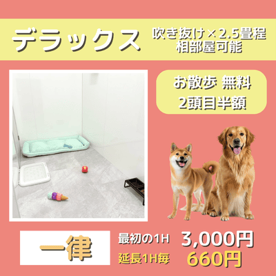 ペットホテル デラックス 吹き抜け2.5畳程 相部屋可能  一律￥3,000 延長￥660 お散歩無料