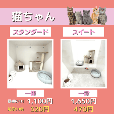 ペットホテル 猫ちゃん スタンダード 一律￥1,100  延長￥320 スイート 一律￥1,650  延長￥470