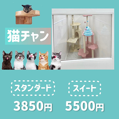ペットホテル 猫ちゃん スタンダード￥3,850 スイート￥5,500