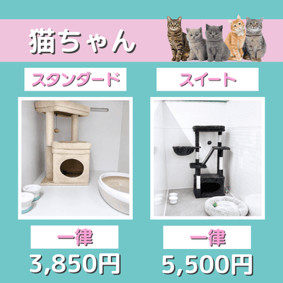 ペットホテル 猫ちゃん スタンダード 一律￥3,850 スイート 一律￥5,500