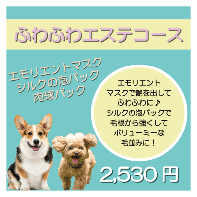 ふわふわエステコース エモリエントマスク＋シルクの泡パック＋肉球パック 2,530円