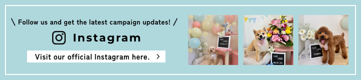 フォローしてキャンペーン情報をGET 公式インスタグラムはこちら