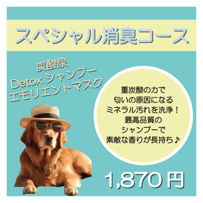 スペシャル消臭コース エモリエントマスク＋炭酸泉＋Detoxシャンプー 1,870円