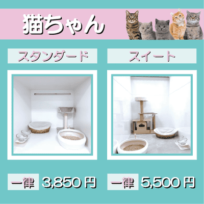 ペットホテル 猫ちゃん スタンダード 一律￥3,850 スイート 一律￥5,500