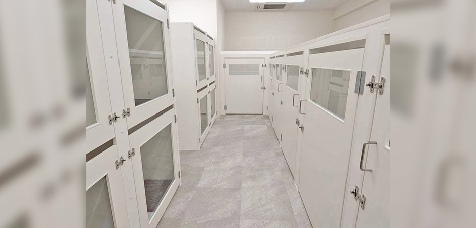 ワンルーク福岡南区店のペットホテル