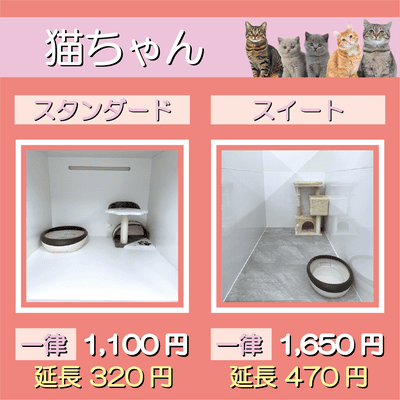 ペットホテル 猫ちゃん スタンダード 一律￥1,100  延長￥320 スイート 一律￥1,650  延長￥470