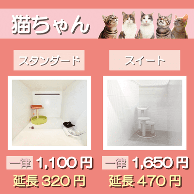 ペットホテル 猫ちゃん スタンダード 一律￥1,100  延長￥320 スイート 一律￥1,650  延長￥470