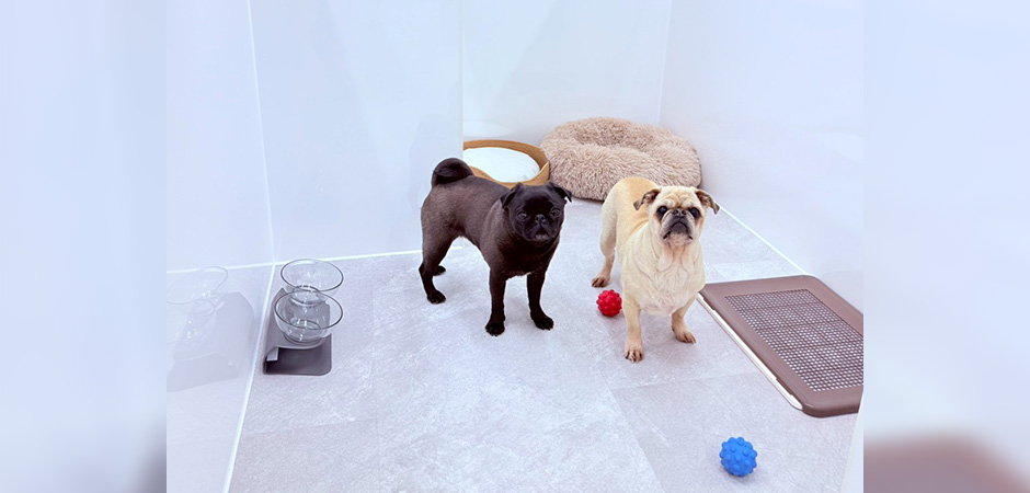 ワンルーク八王子店のペットホテル