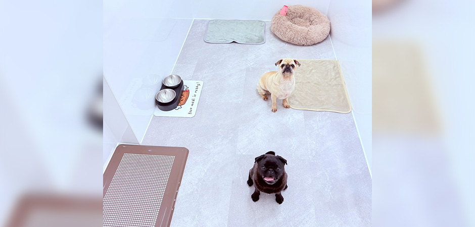 ワンルーク八王子店のペットホテル