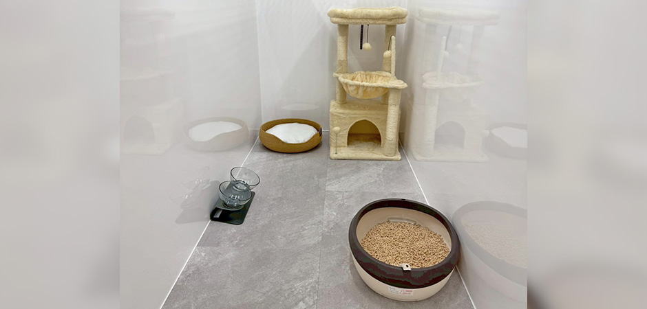 ワンルーク八王子店のペットホテル