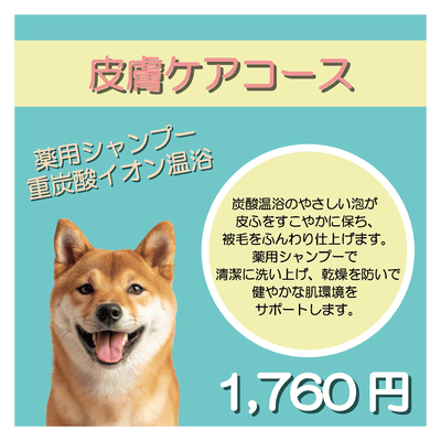 皮膚ケアコース 薬用シャンプー＋重炭酸イオン温浴 1,760円