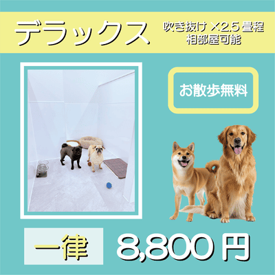 ペットホテル デラックス 吹き抜け2.5畳程 相部屋可能  一律￥8,800 お散歩無料