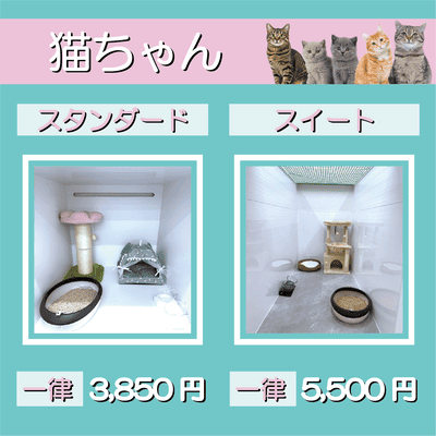 ペットホテル 猫ちゃん スタンダード 一律￥3,850 スイート 一律￥5,500