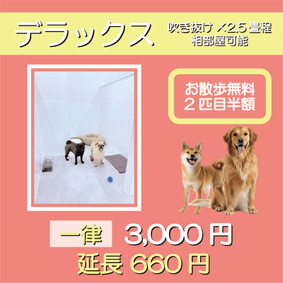 ペットホテル デラックス 吹き抜け2.5畳程 相部屋可能  一律￥3,000 延長￥660 お散歩無料