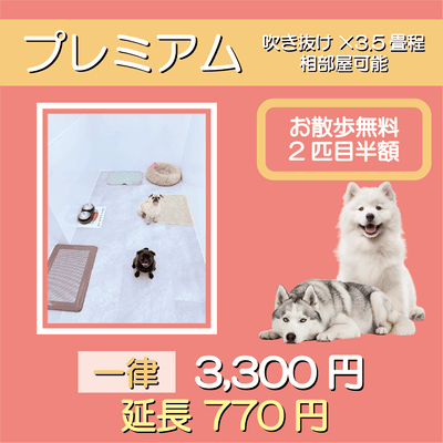 ペットホテル プレミアム 吹き抜け3.5畳程  一律￥3,300 延長￥770 お散歩無料
