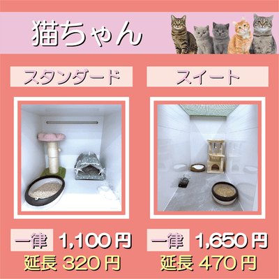 ペットホテル 猫ちゃん スタンダード 一律￥1,100  延長￥320 スイート 一律￥1,650  延長￥470