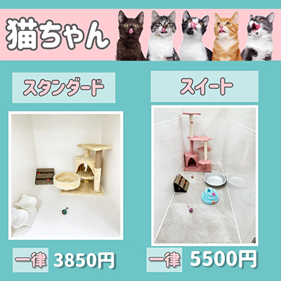 ペットホテル 猫ちゃん スタンダード￥3,000 スイート￥5,000