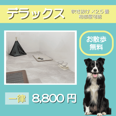 ペットホテル デラックス 吹き抜け2.5畳程 相部屋可能 一律￥8,800 お散歩無料