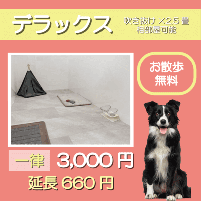 ペットホテル デラックス 吹き抜け2.5畳程 相部屋可能 お散歩無料 一律￥3,000 延長￥660