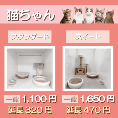 ペットホテル 猫ちゃん スタンダード 一律￥1,100  延長￥320 スイート 一律￥1,650  延長￥470