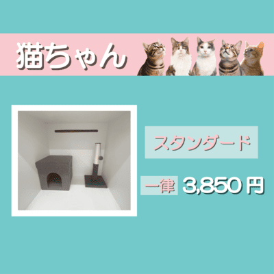 ペットホテル 猫ちゃん スタンダード 一律￥3,850