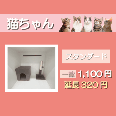 ペットホテル 猫ちゃん スタンダード 一律￥1,100  延長￥320