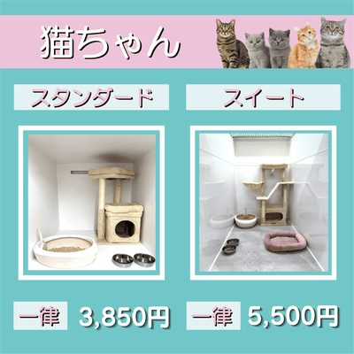 ペットホテル 猫ちゃん スタンダード 一律￥3,850 スイート 一律￥5,500