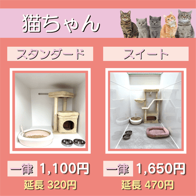 ペットホテル 猫ちゃん スタンダード 一律￥1,100  延長￥320 スイート 一律￥1,650  延長￥470