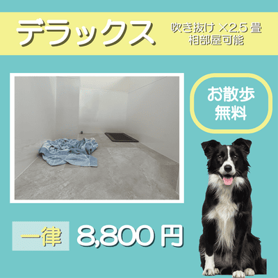 ペットホテル デラックス 吹き抜け2.5畳程 相部屋可能  一律￥8,800 お散歩無料