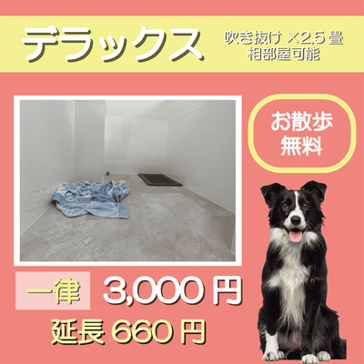 ペットホテル デラックス 吹き抜け2.5畳程 相部屋可能  一律￥3,000 延長￥660 お散歩無料