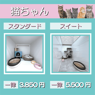 ペットホテル 猫ちゃん スタンダード 一律￥3,850 スイート 一律￥5,500