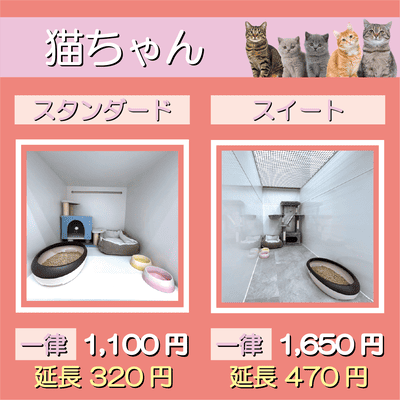 ペットホテル 猫ちゃん スタンダード 一律￥1,100  延長￥320 スイート 一律￥1,650  延長￥470
