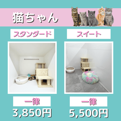 ペットホテル 猫ちゃん スタンダード 一律￥3,850 スイート 一律￥5,500