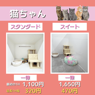ペットホテル 猫ちゃん スタンダード 一律￥1,100  延長￥320 スイート 一律￥1,650  延長￥470