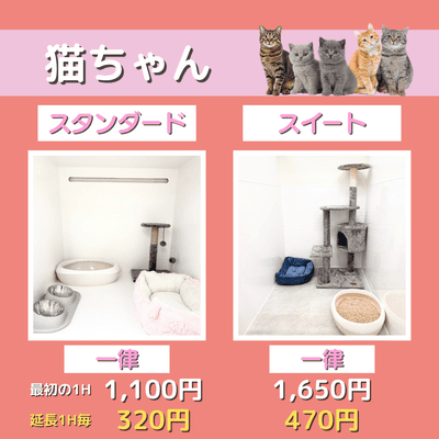 ペットホテル 猫ちゃん スタンダード 一律￥1,100  延長￥320 スイート 一律￥1,650  延長￥470