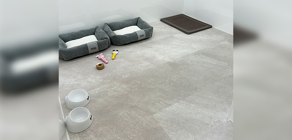 ワンルーク山口糸米店のペットホテル