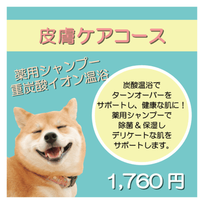 皮膚ケアコース 薬用シャンプー＋重炭酸イオン温浴 1,760円