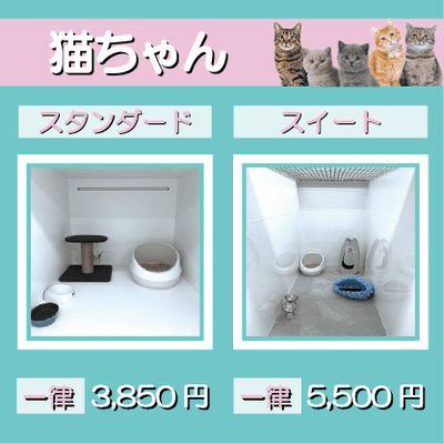 ペットホテル 猫ちゃん スタンダード 一律￥3,850 スイート 一律￥5,500