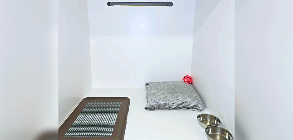 ワンルーク中村区岩塚店のペットホテル