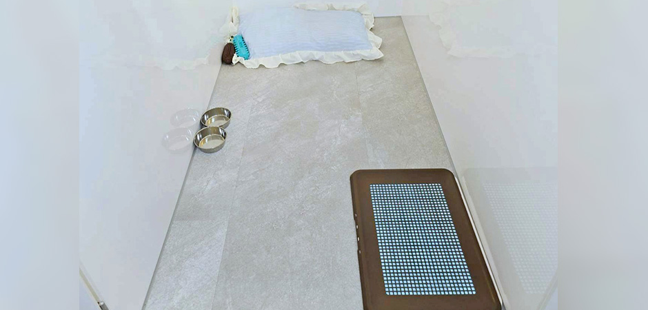 ワンルーク中村区岩塚店のペットホテル