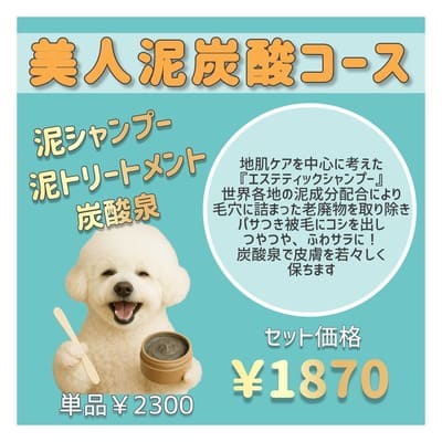 美人泥炭酸コース 泥シャンプー 泥トリートメント 炭酸泉 セット価格1,870円 単品2,300円