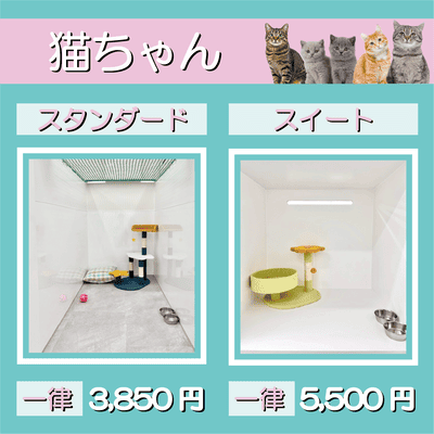 ペットホテル 猫ちゃん スタンダード 一律￥3,850 スイート 一律￥5,500