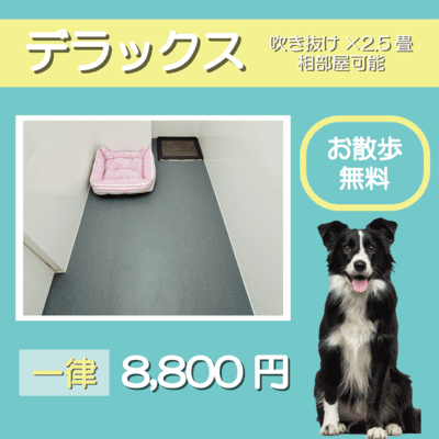 ペットホテル デラックス 吹き抜け2.5畳程 相部屋可能  一律￥8,800 お散歩無料