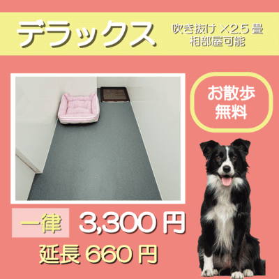 ペットホテル デラックス 吹き抜け2.5畳程  一律￥3,300 延長￥660 お散歩無料