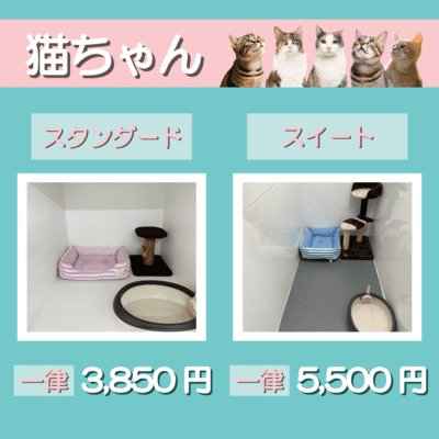 ペットホテル 猫ちゃん スタンダード 一律￥3,850 スイート 一律￥5,500